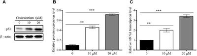 Cisatracurium Retards Cell Migration and Invasion Upon Upregulation of p53 and Inhibits the Aggressiveness of Colorectal Cancer